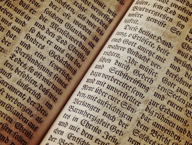 Le vocabulaire