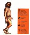 Il s'agit de l'homo sapiens
