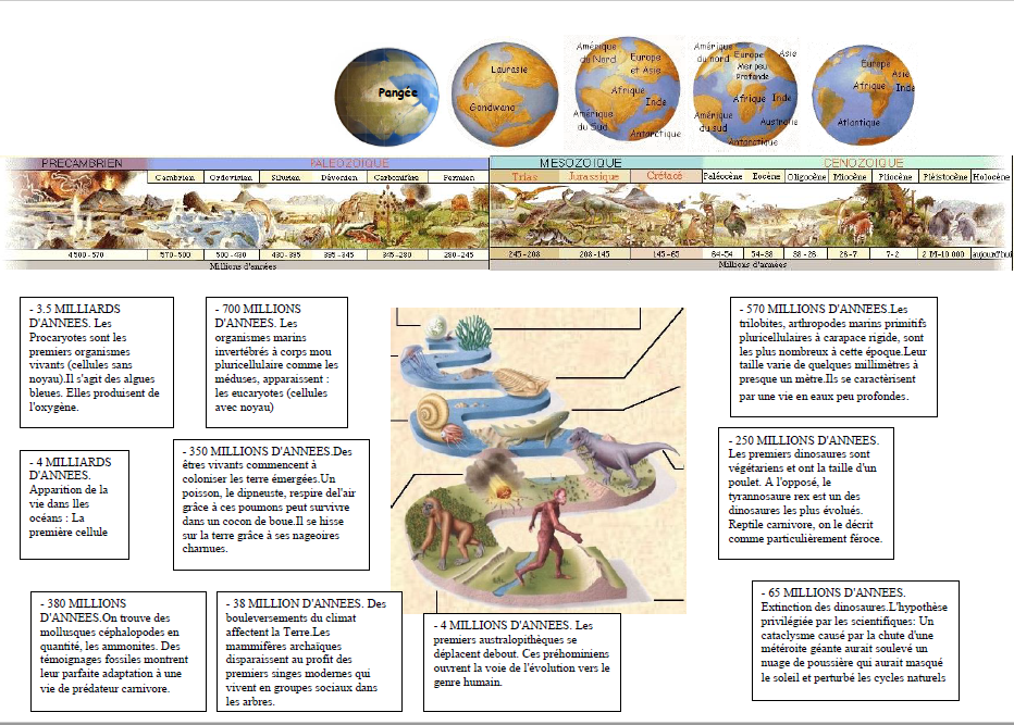 Evolution de la terre et des especes en pdf