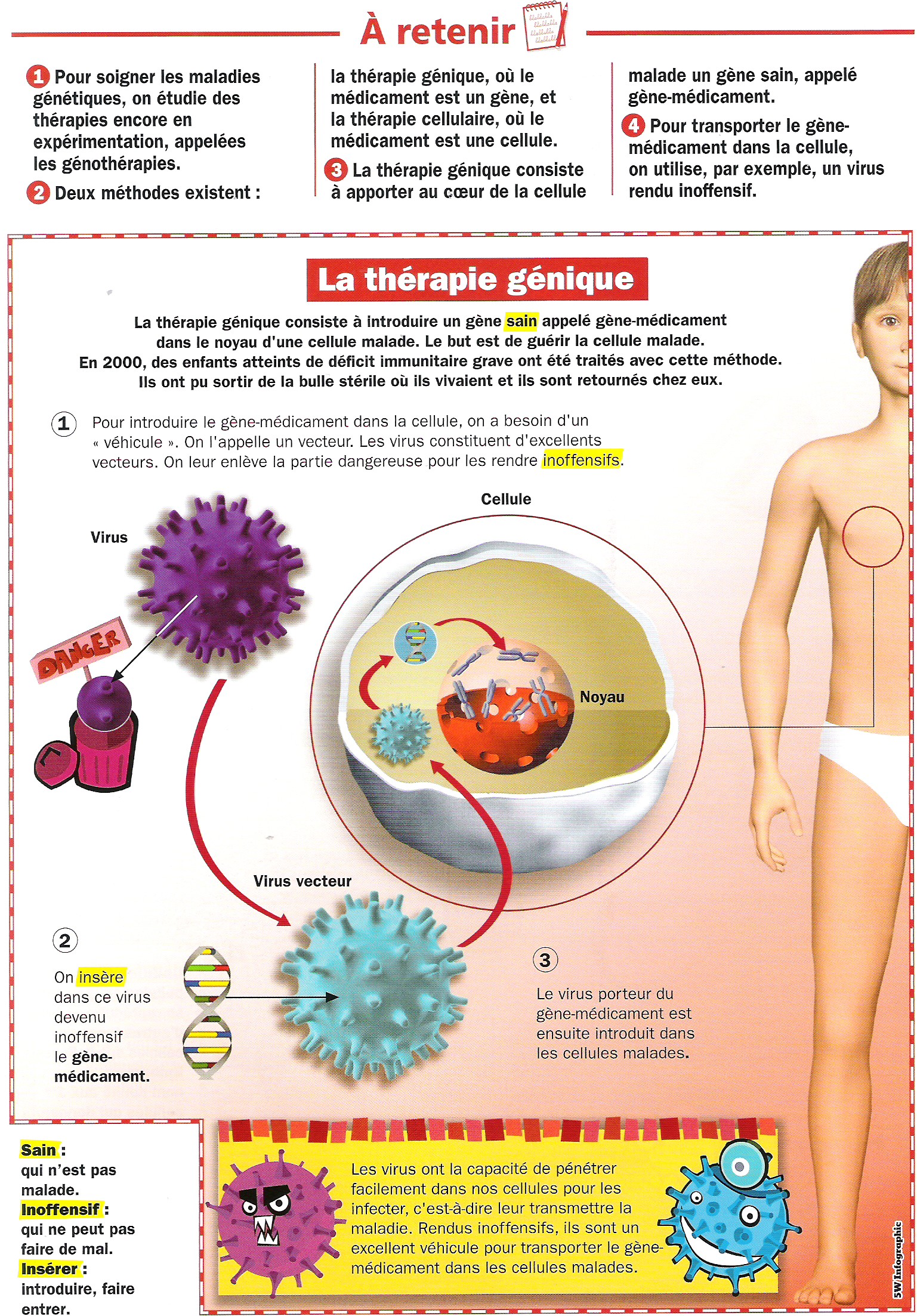 la génétique humaine sur les chromosomes