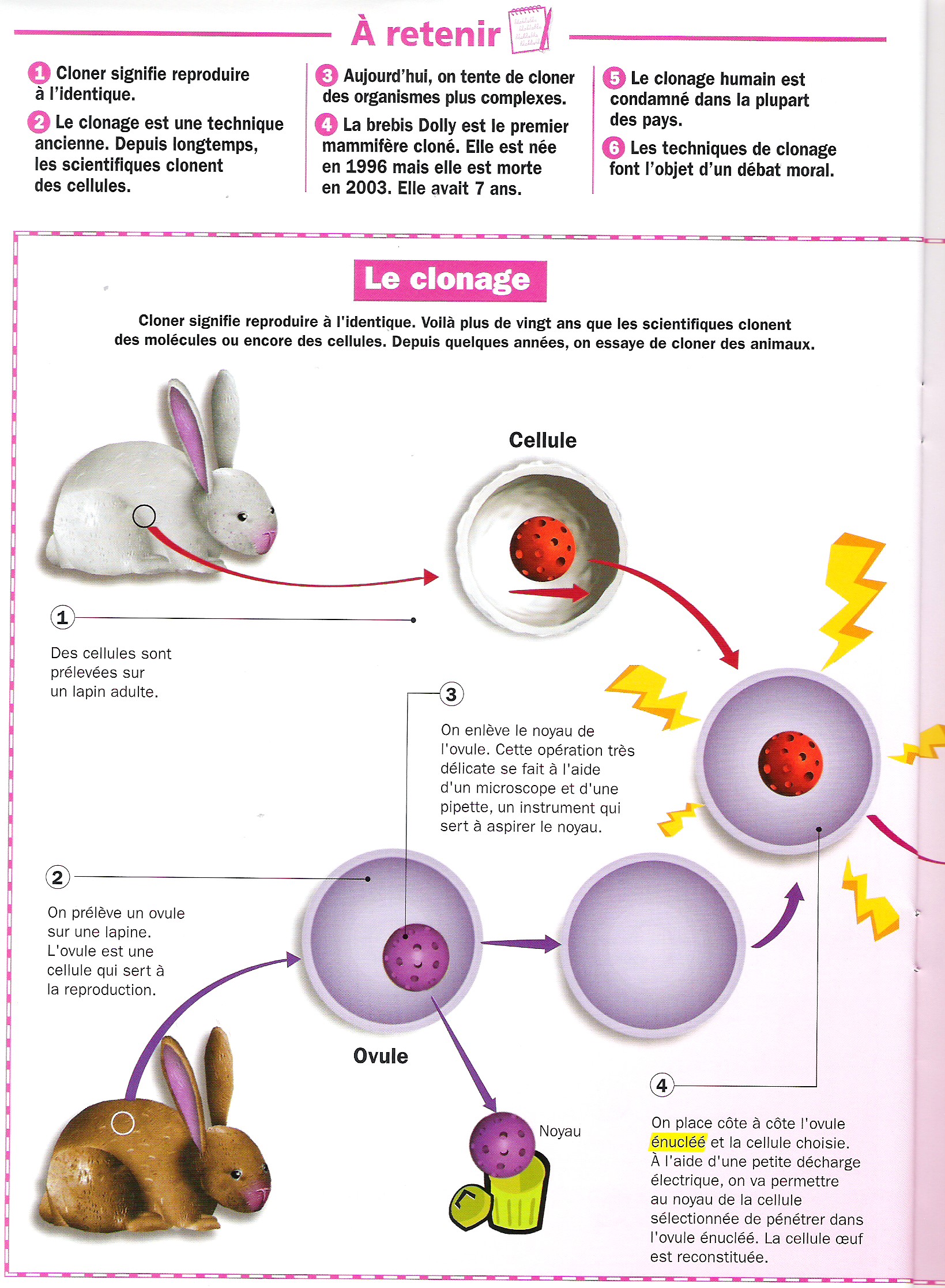 la génétique humaine sur les chromosomes
