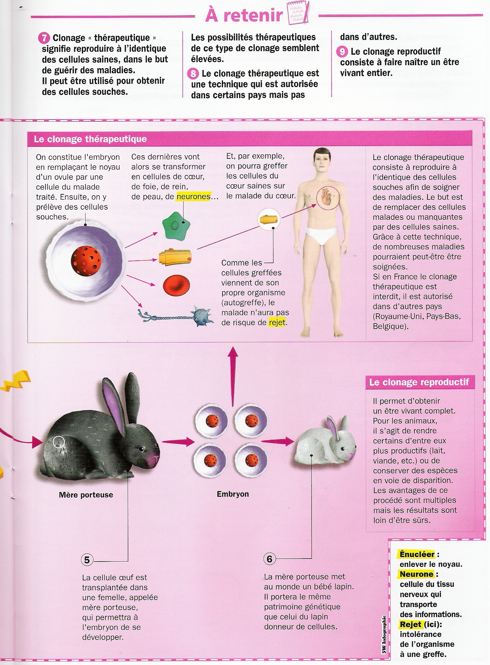 la génétique humaine sur les chromosomes