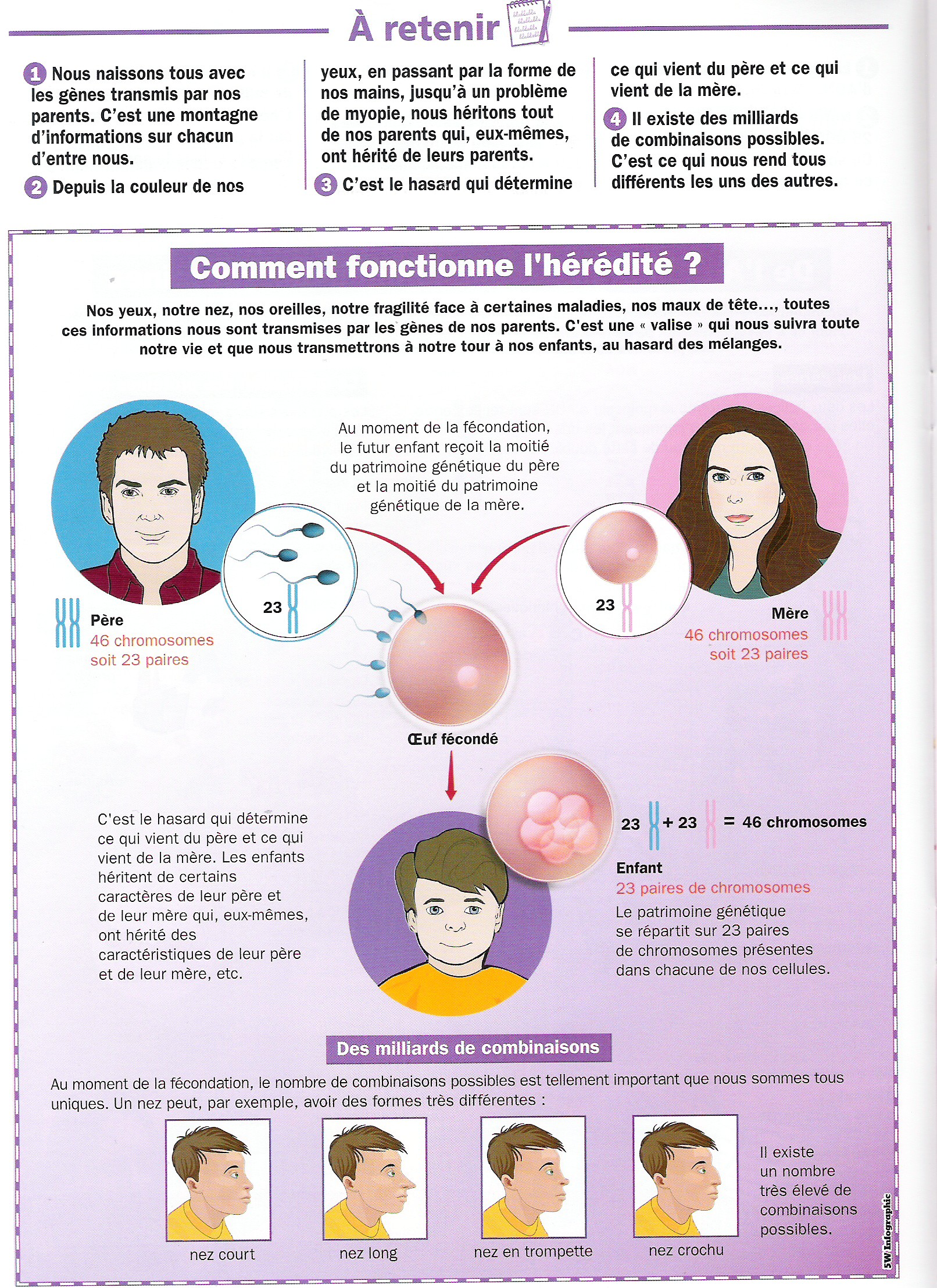 la génétique humaine sur les chromosomes