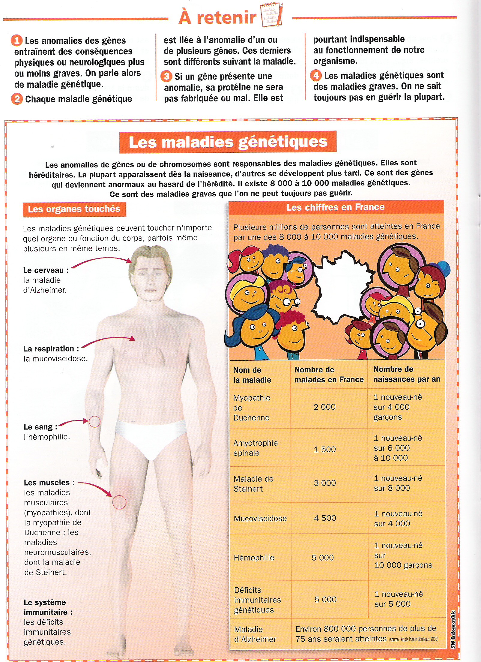 la génétique humaine sur les chromosomes