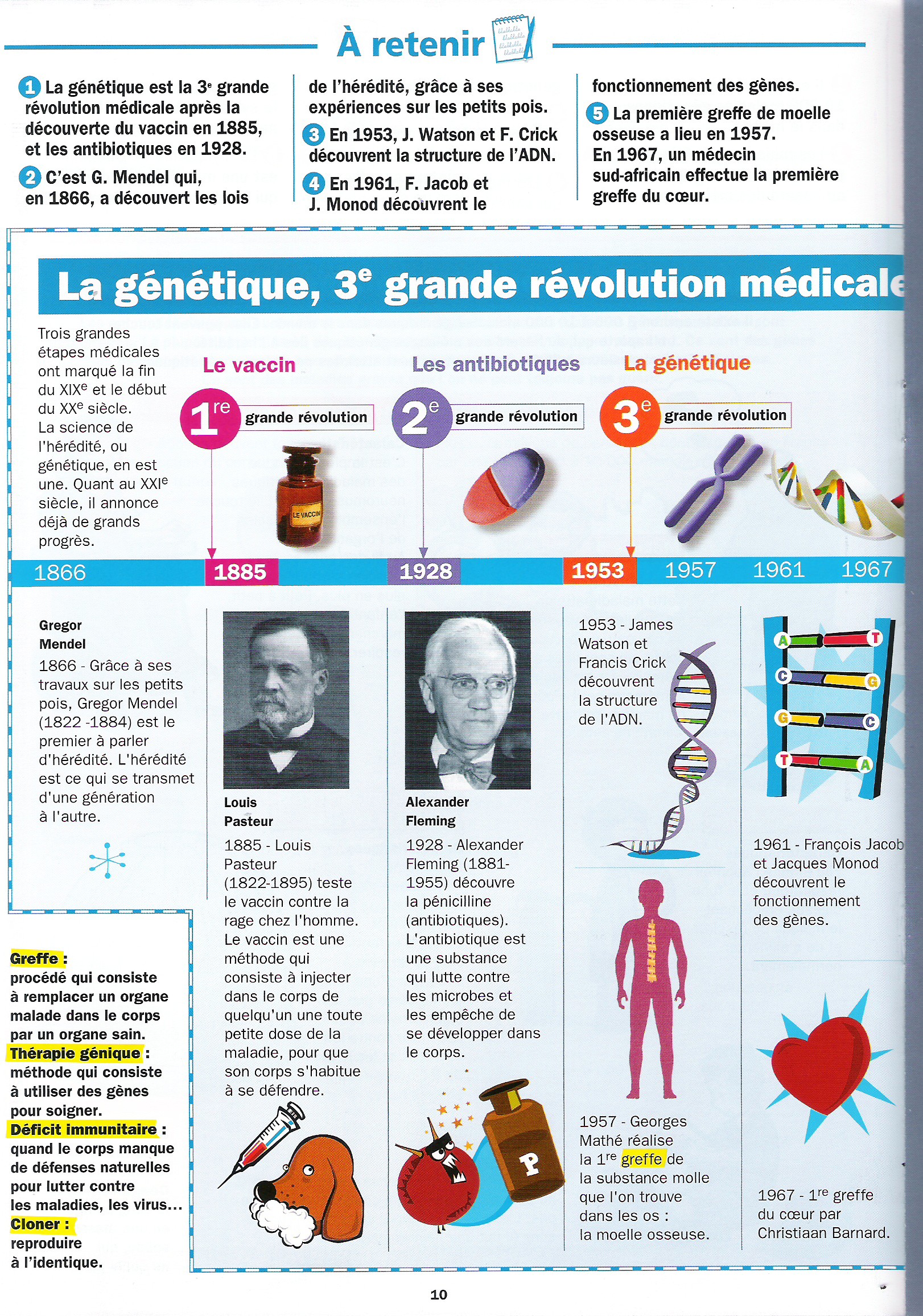 la génétique humaine sur les chromosomes